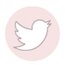 Sígueme en Twitter