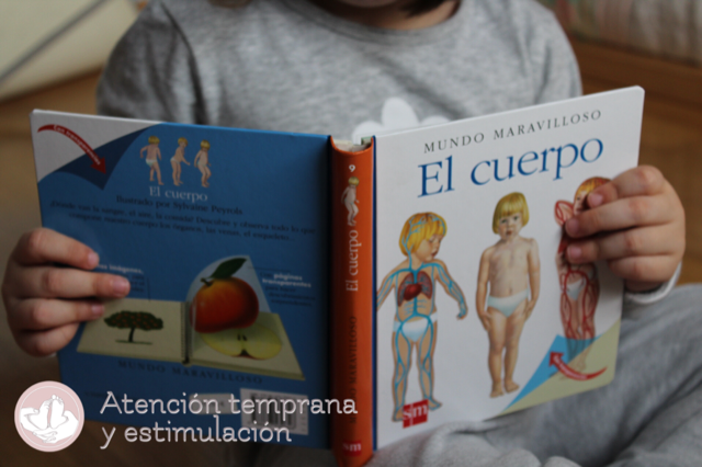 el cuerpo