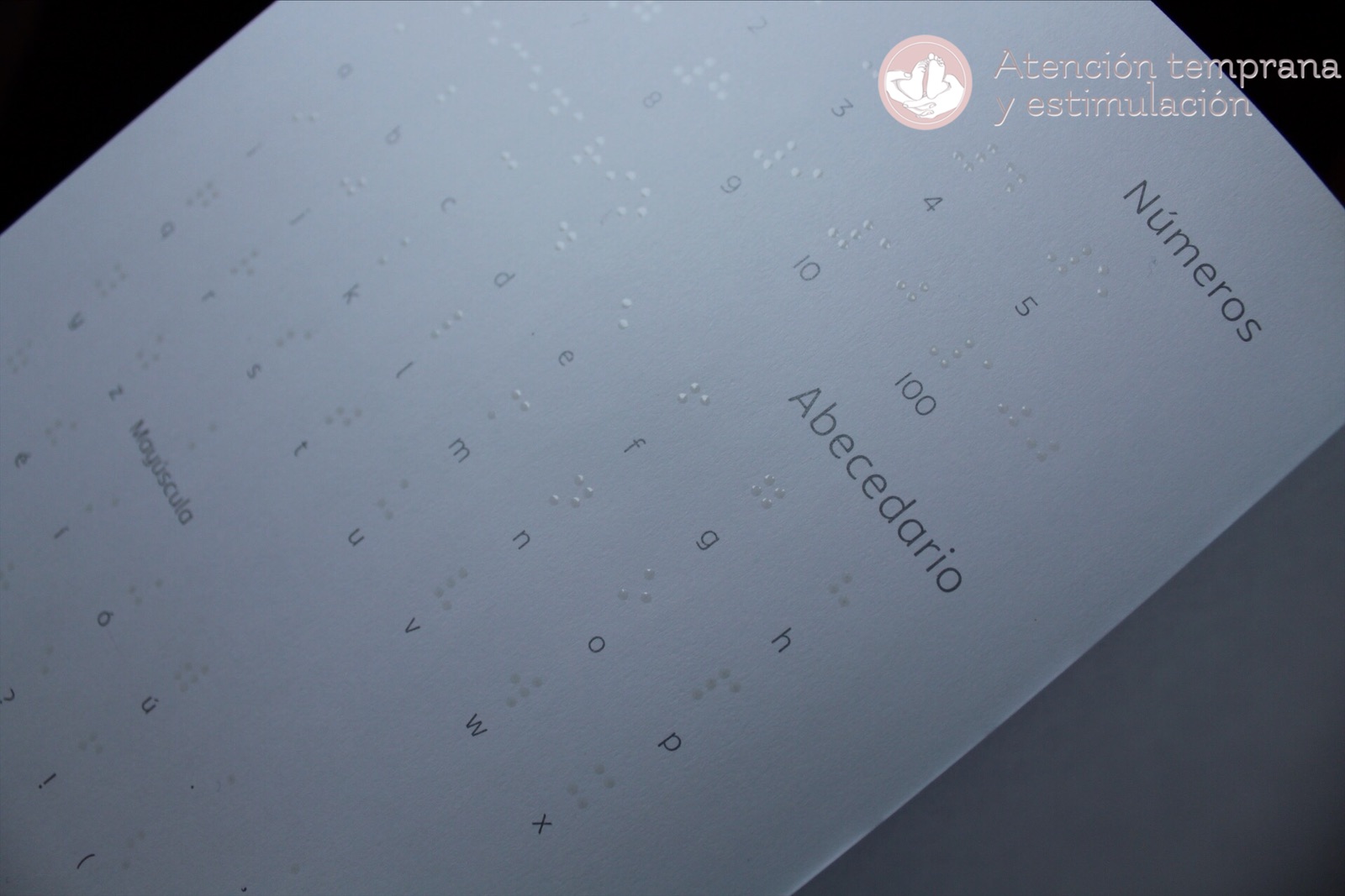 braille numeros